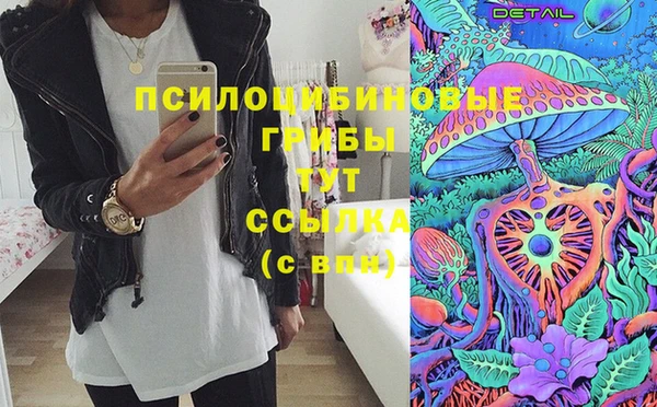 герыч Зеленодольск
