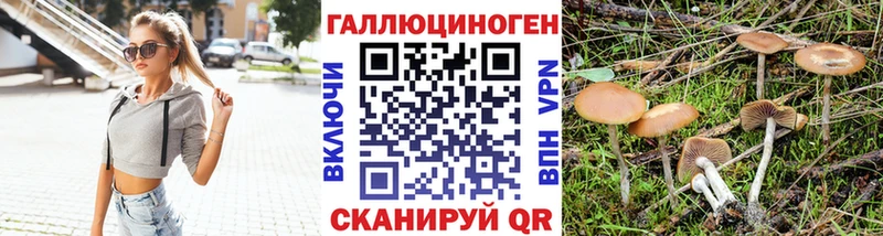 Псилоцибиновые грибы Psilocybine cubensis Камень-на-Оби