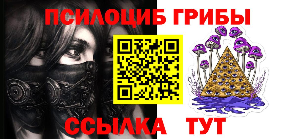 Галлюциногенные грибы мицелий Камень-на-Оби