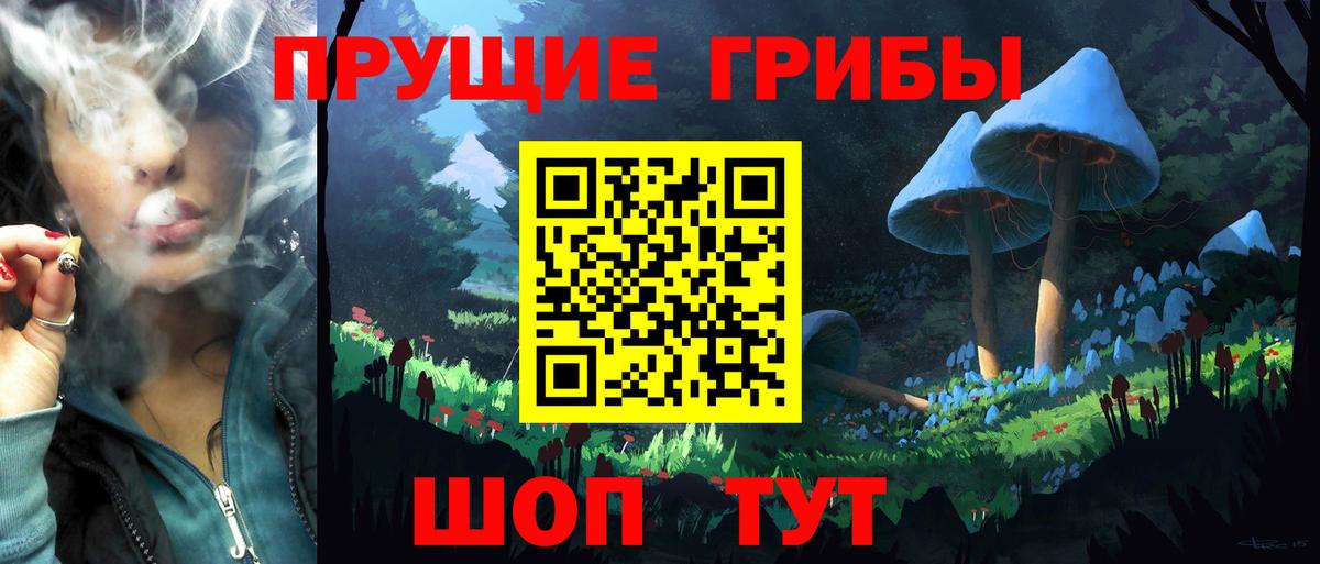 Псилоцибиновые грибы MAGIC MUSHROOMS  Вход с VPN  Камень-на-Оби 