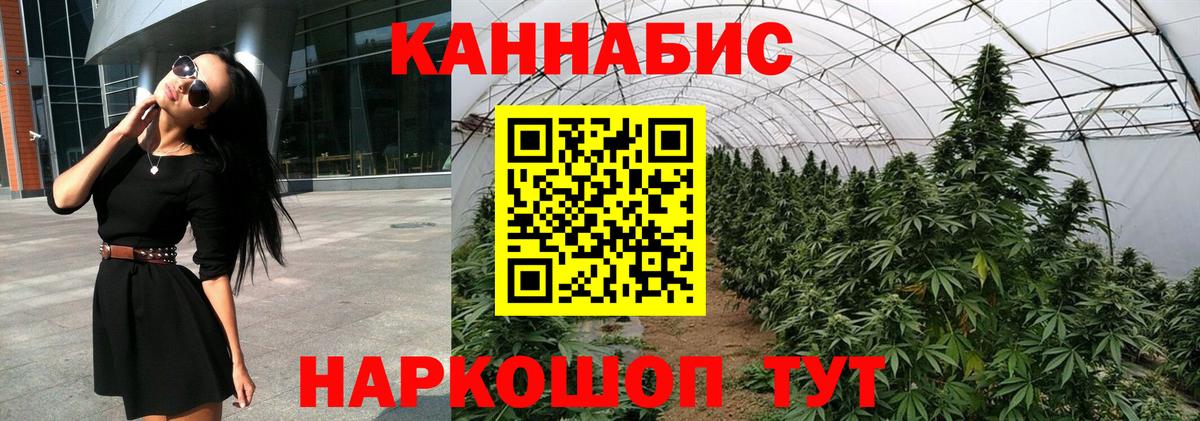 Каннабис планчик  МАРИХУАНА White Widow  Бошки марихуана план  Бошки марихуана ГИДРОПОН  Камень-на-Оби 